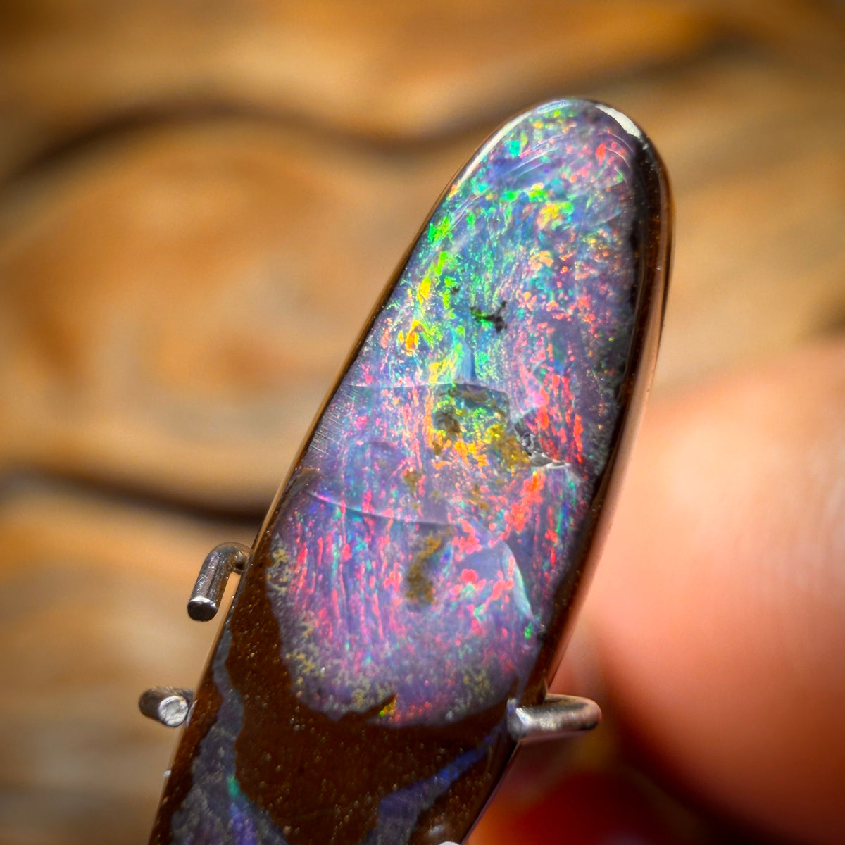 🔨 AUCTION 🔨 Reserve 💎 High Roller Banger Auction 💎 2.5cts - Black Queensland Boulder Seam Opal from Winton