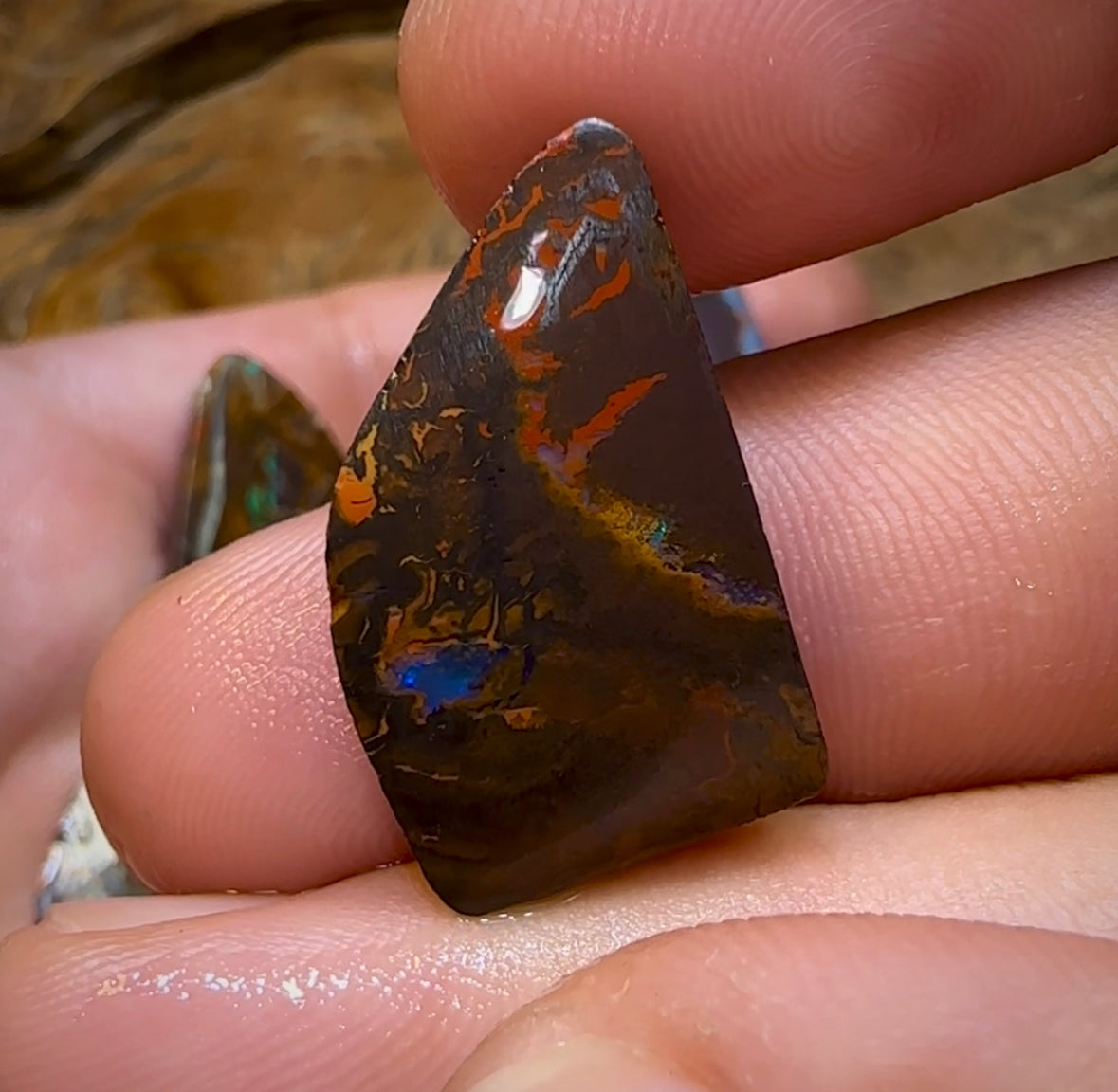 165cts - 8x Koroit Nut Rubs. Australian Boulder Opal - Opal Whisperers