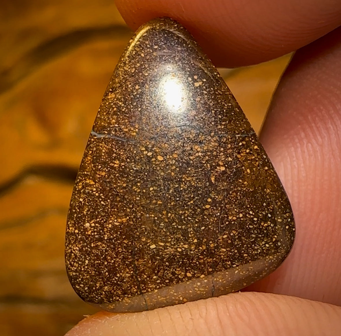 14.9cts - Queensland Boulder Seam Opal