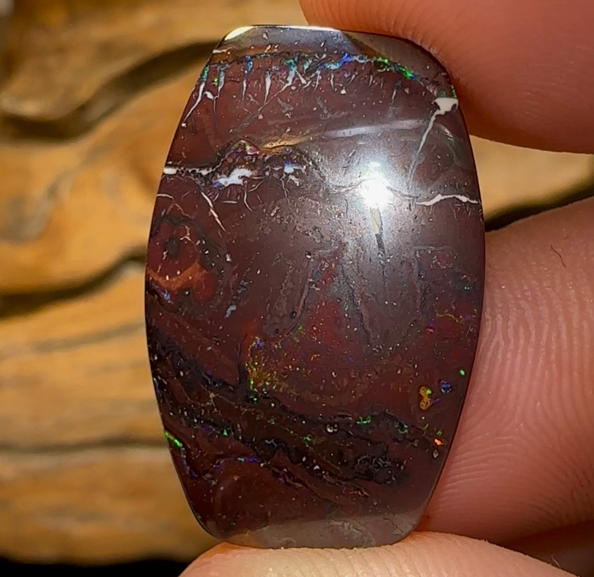 30.7cts - Queensland Boulder Opal - Opal Whisperers