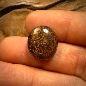 18.4cts - Super Rare Black Yowah Nut Crystal Centre Opal. Australian Boulder Opal