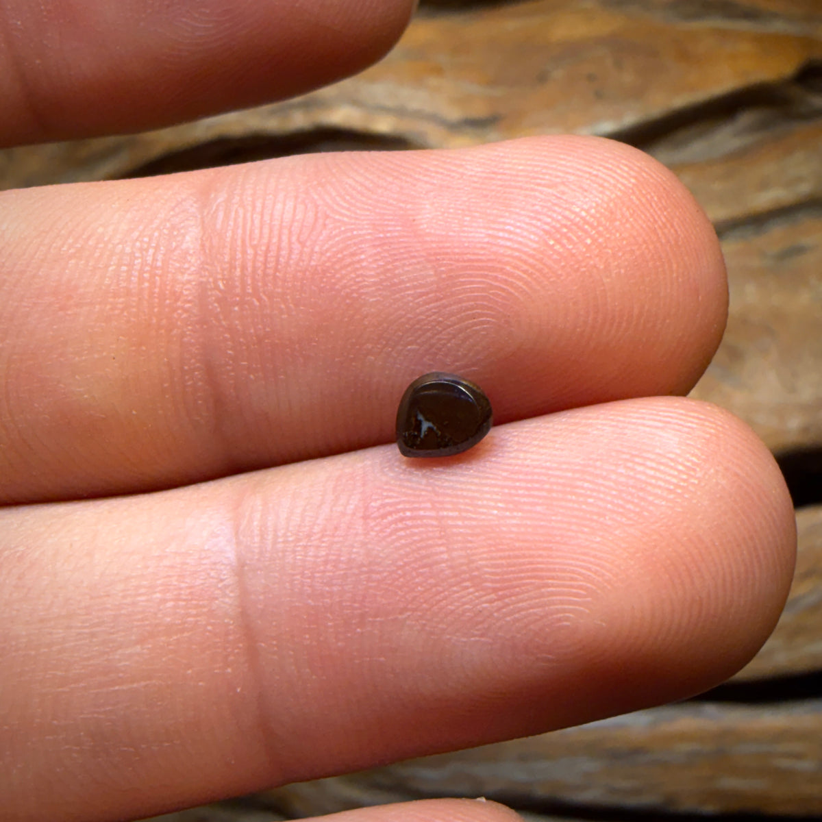 0.4cts - Small but Sweet Yowah Nut Opal. Australian Opal