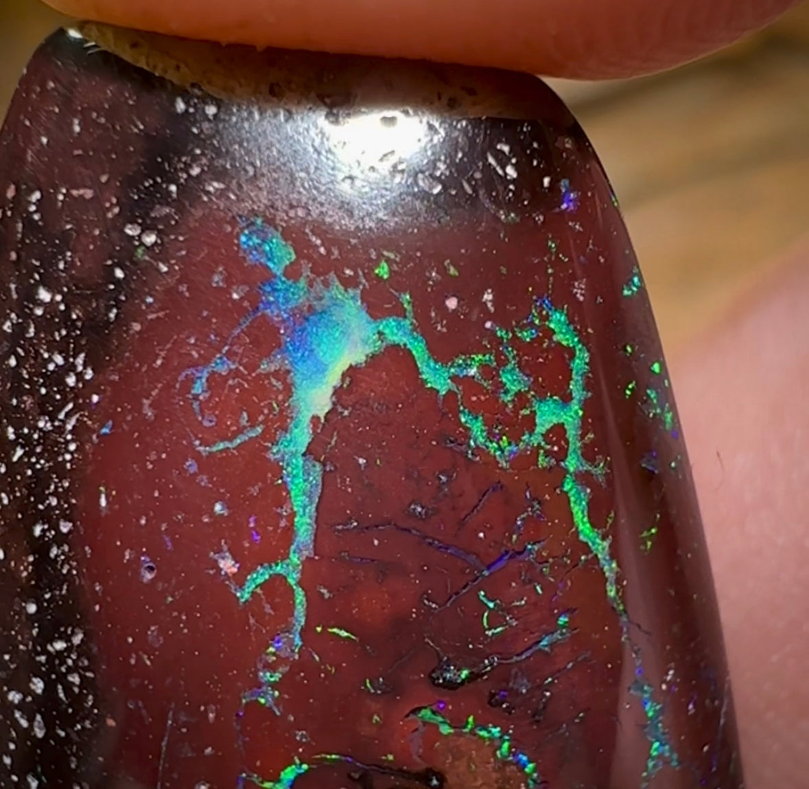 101.3cts - Tribal Pattern Koroit Nut Opal Pair - Opal Whisperers