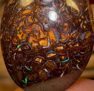 12.9cts - Tribal Queensland Boulder Opal from Yowah with Red