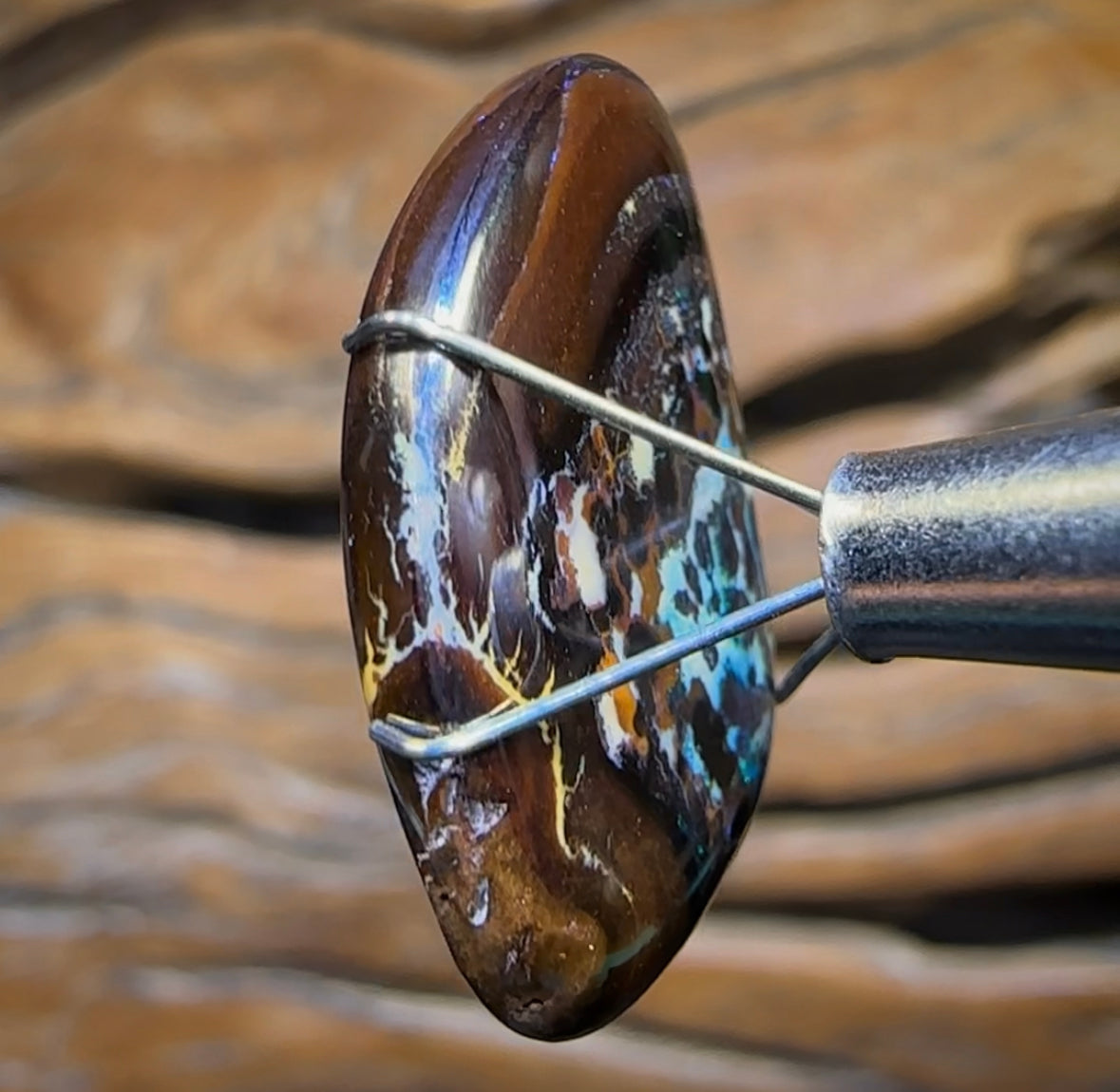 17,8 carats – Opale Boulder du Queensland « Moss Kernel » de Koroit