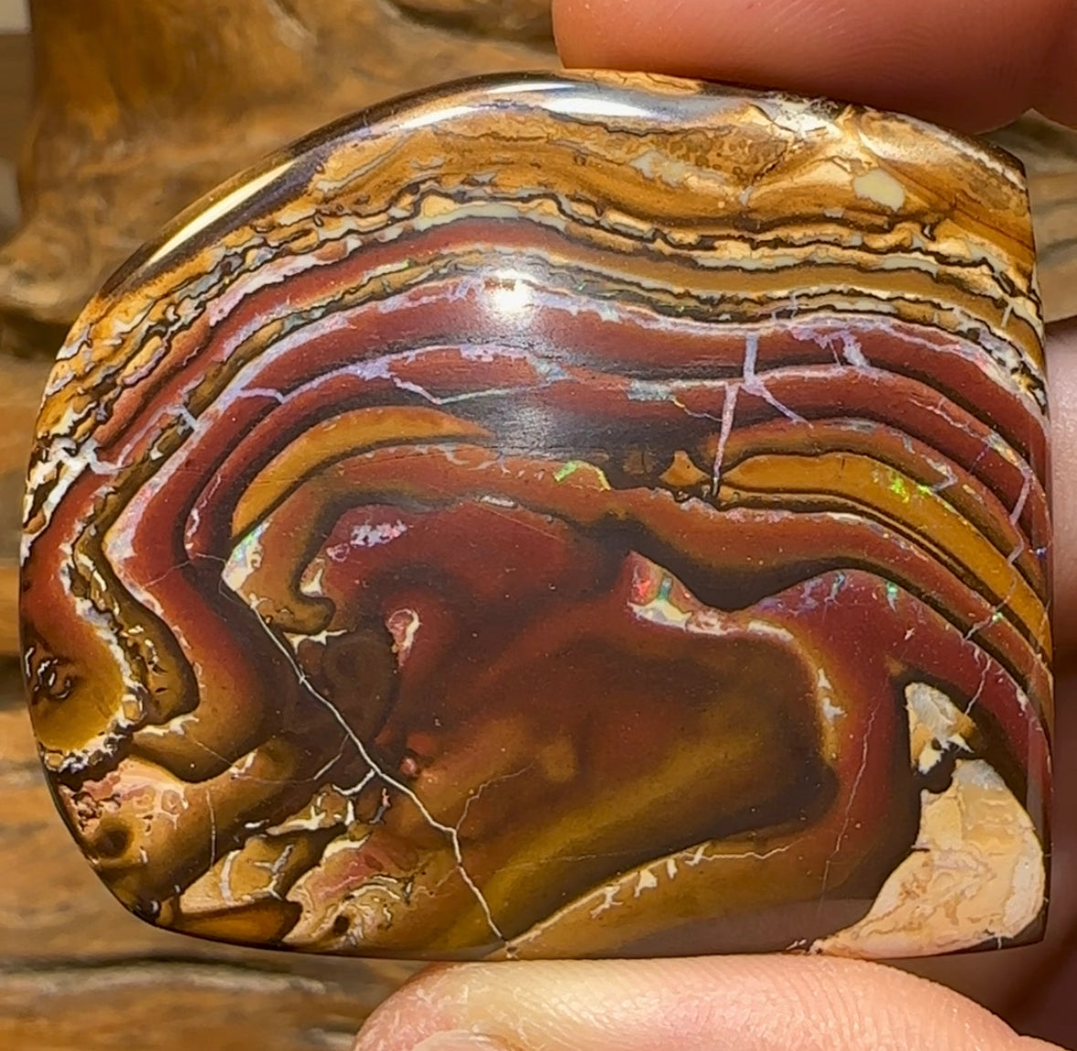 265cts - Australian Boulder Opal Specimen Yowah Tribal Landscape - Opal Whisperers