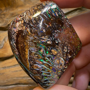 254.3cts - TOP Tribal Pattern Polished Yowah Opal Specimen