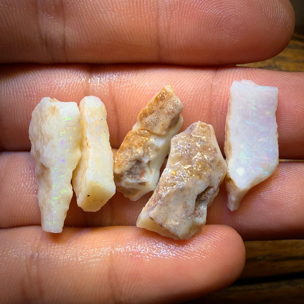 🔨 AUCTION 🔨 44.5cts - 5x South Australian White Opal Rough Parcel