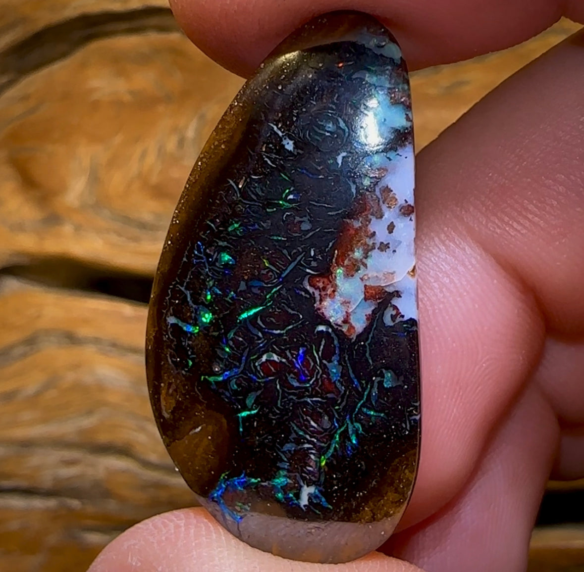38.8cts - Tribal Queensland Boulder Opal from Koroit
