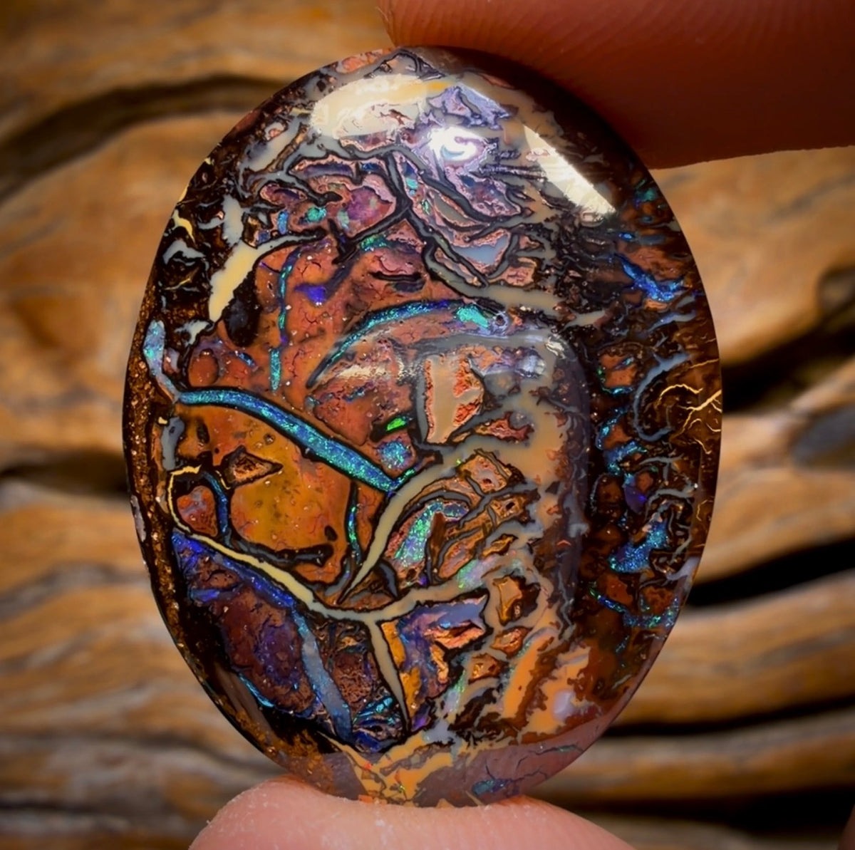 38.5cts - TOP Tribal Australian Boulder Opal from Koroit