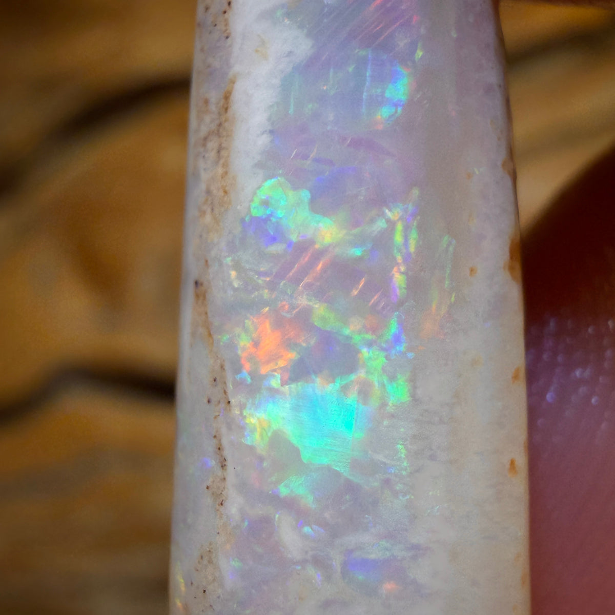 14.9cts - Opalised Belemnite Geological Specimen from South Australia