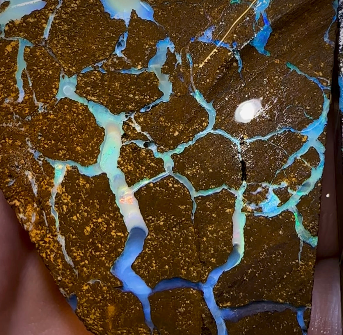 262.2cts - Large Australian Boulder Opal Rough Pair - Opal Whisperers