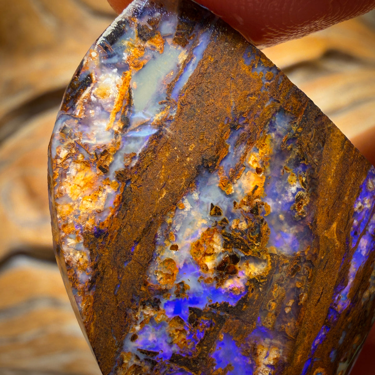 52.6cts - Vegetation Fossil Replacement Boulder Opal Rub. Double Sided!