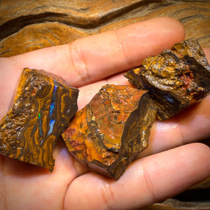 342cts - 3x Queensland Boulder-Opal-Rohmaterial-Paket von Duck Creek