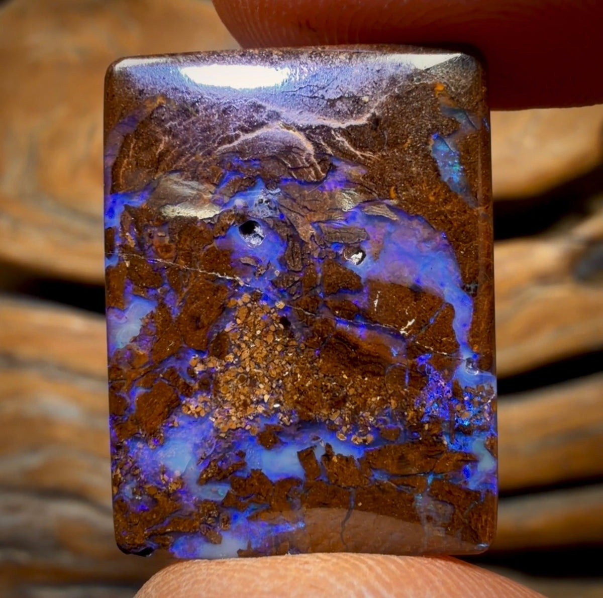49.4cts - Queensland Boulder Opal from Yowah