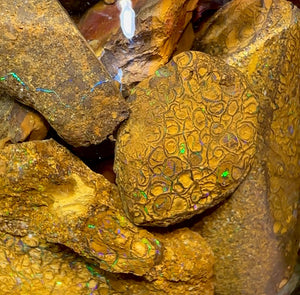 139.1g - Jar of Rough Australian Boulder Opal