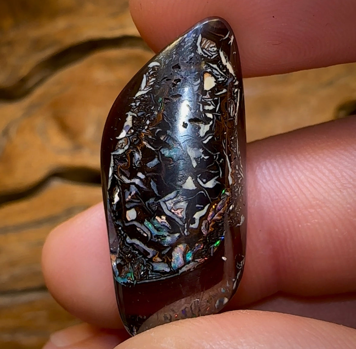34.2cts - Tribal Koroit Nut. Dark Ironstone Bargain Black Boulder - Opal Whisperers