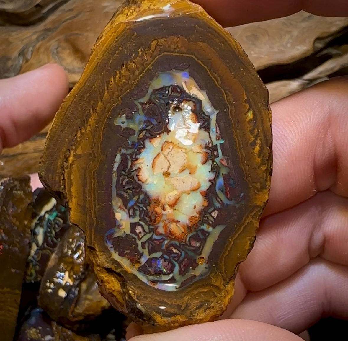 317.9g - 15x Yowah Nut Rough Pieces. Tribal and Crystal Centres Australian Opal - Opal Whisperers