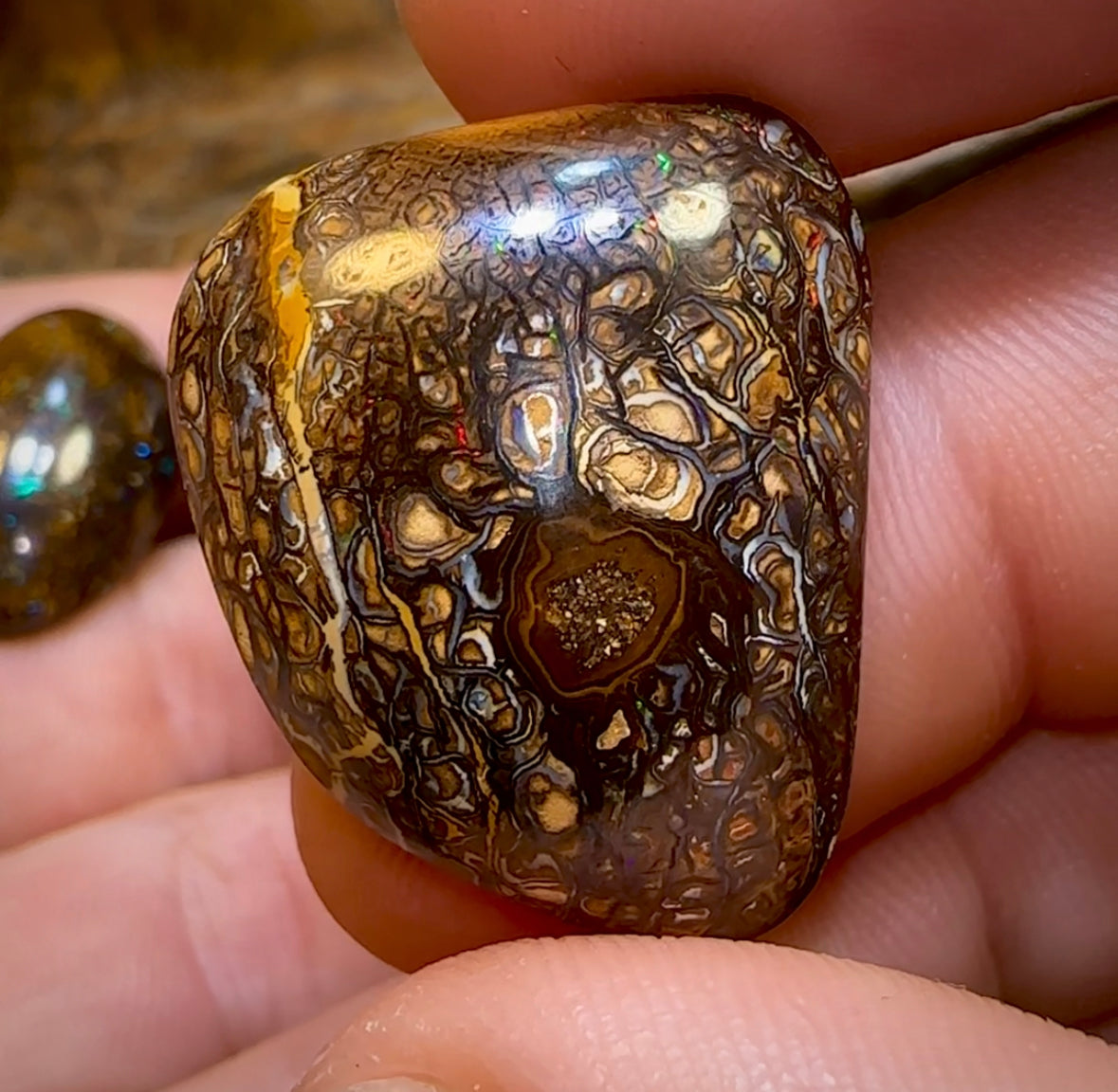 The 123.6cts - 4x Tribal Queensland Boulder Opals. Wholesale Parcel - Opal Whisperers