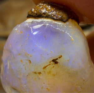 22.6cts - Rare Yowah Nut Crystal Centre Opal Rough Geological Specimen. Naturally Deshelled Wow!
