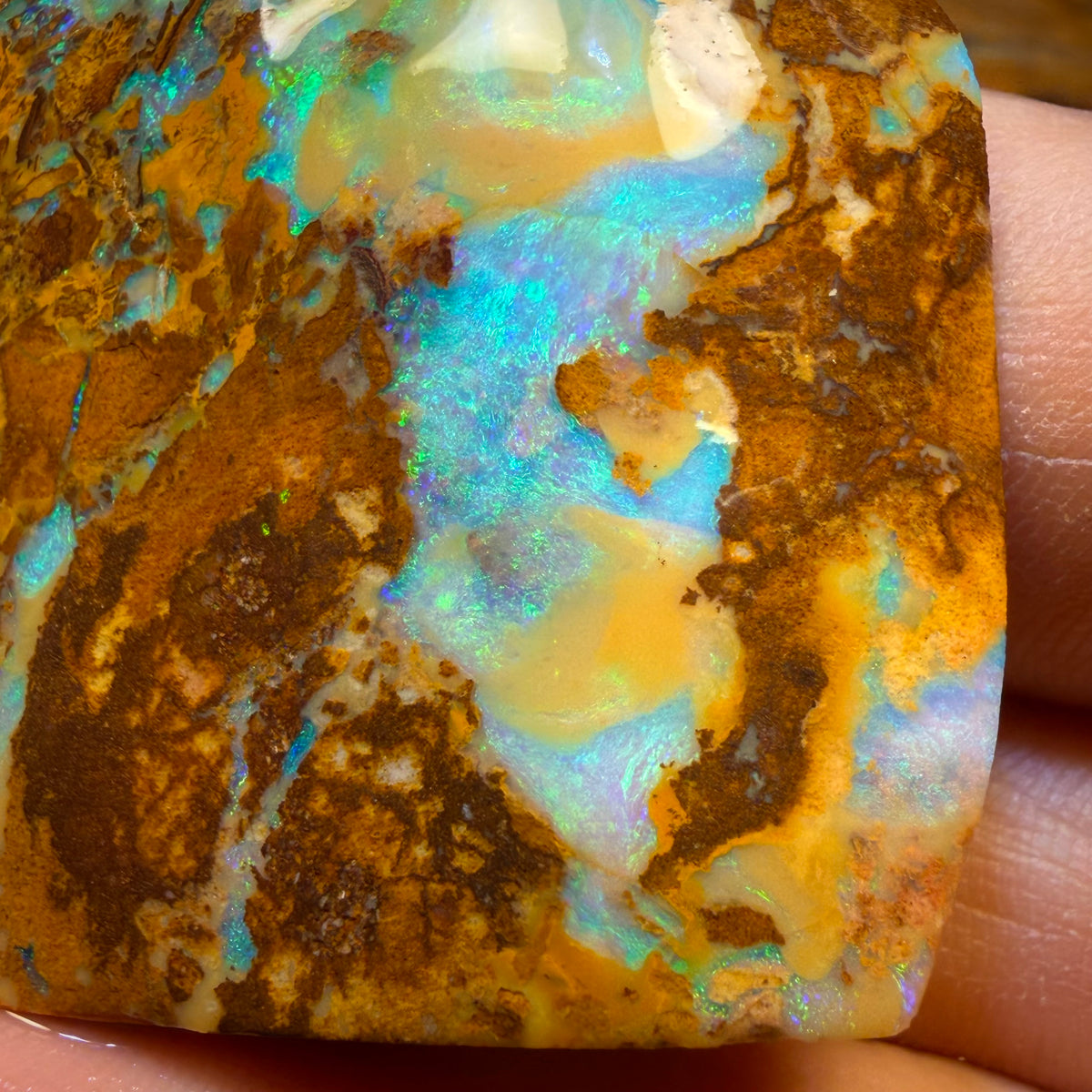 185.8cts - TOP Vegetation Fossil Replacement Boulder Opal Rub. Double Sided!