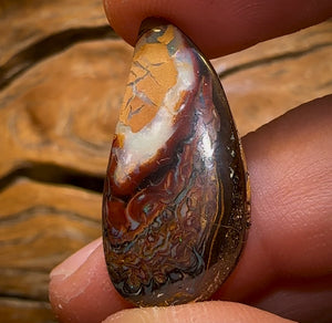 🔨 AUCTION 🔨 No Reserve  20.8cts - Koroit Nut Tribal Opal