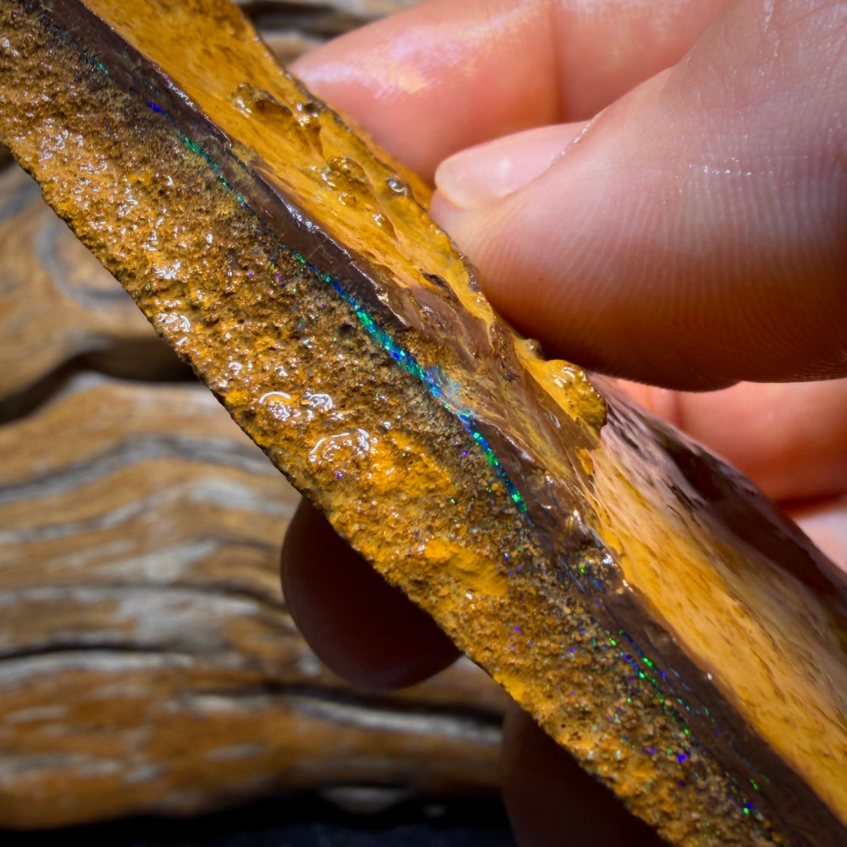 471cts - Yowah Opal Rough Piece. Biscuit Band