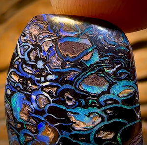 47.5cts - Top Tribal Koroit Nut Opal. Australian Opal