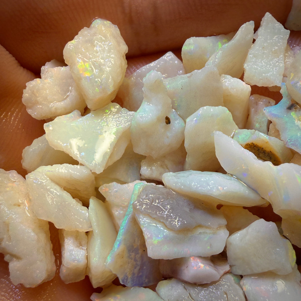 80.5cts - 56x South Australian White Opal Rough Chips Parcel