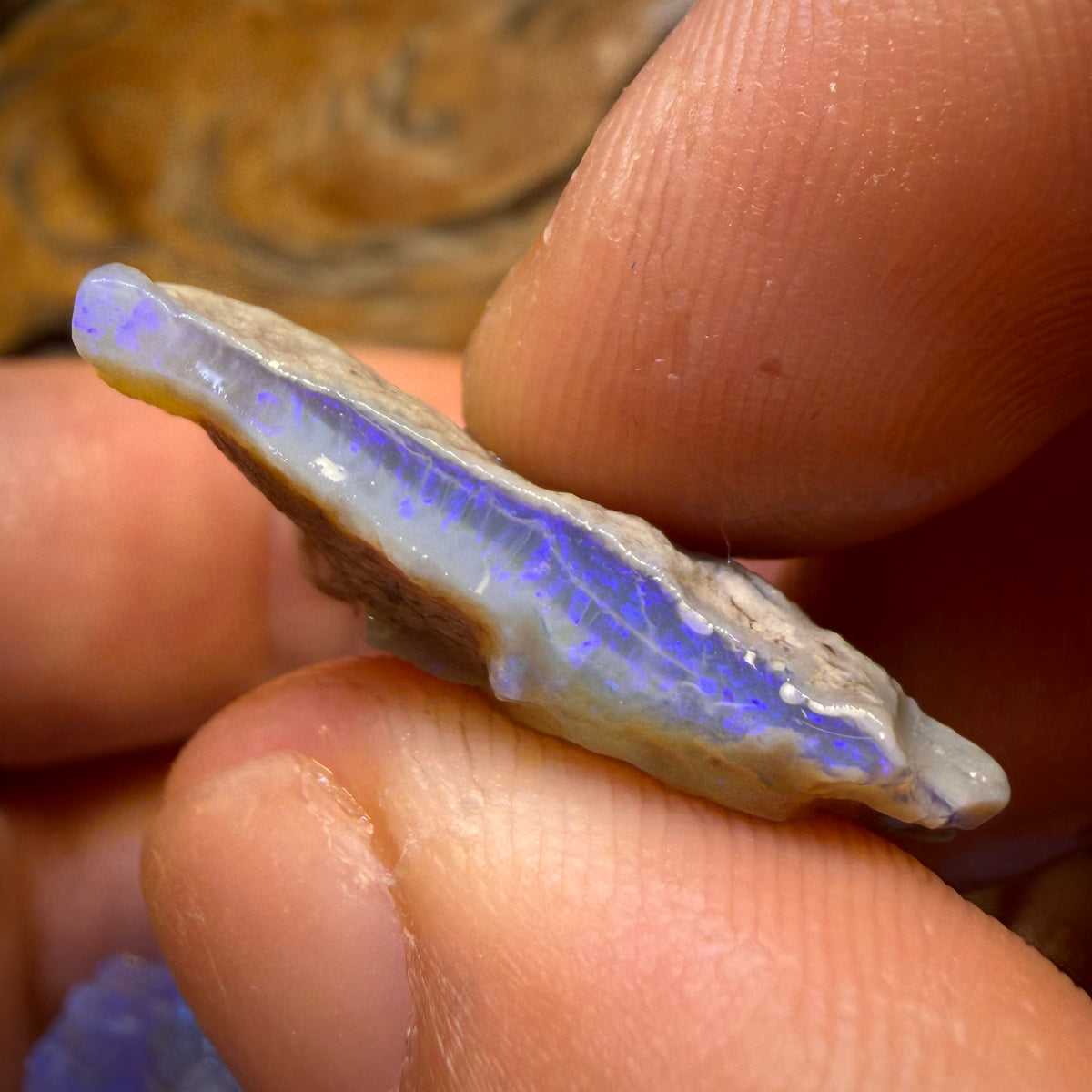101.5cts - 5x Lightning Ridge Opal Rough Parcel