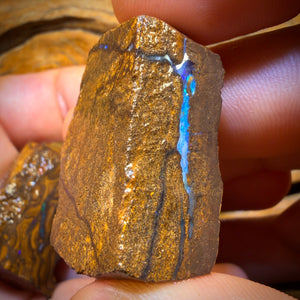 342cts - 3x Queensland Boulder-Opal-Rohmaterial-Paket von Duck Creek