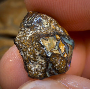 Opale brute Yowah Nut de 9,1 ct - Magnifique ! Tailleur de pierres pour bagues !