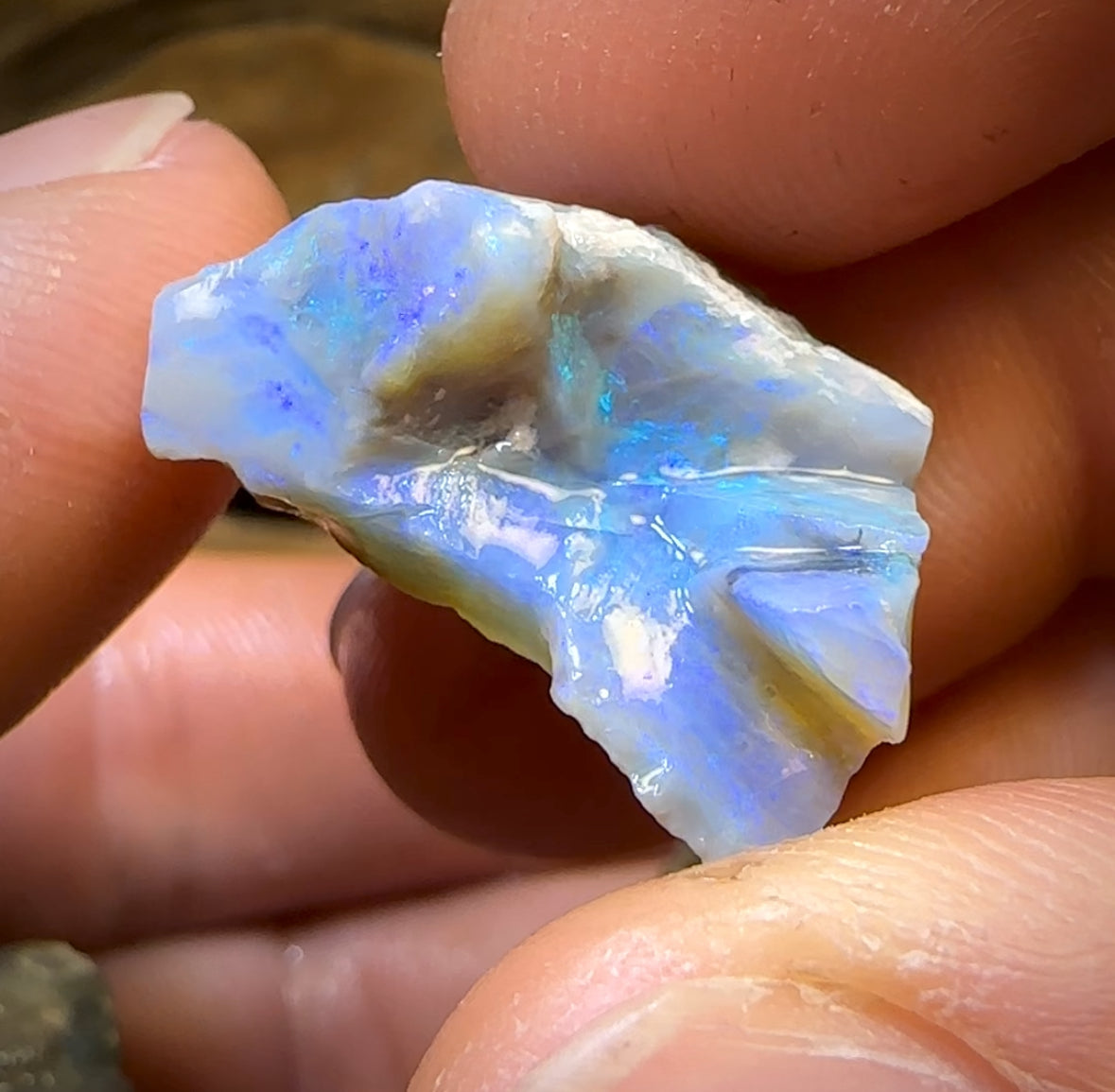 65.4cts - 4x Lightning Ridge Opal Rough Parcel