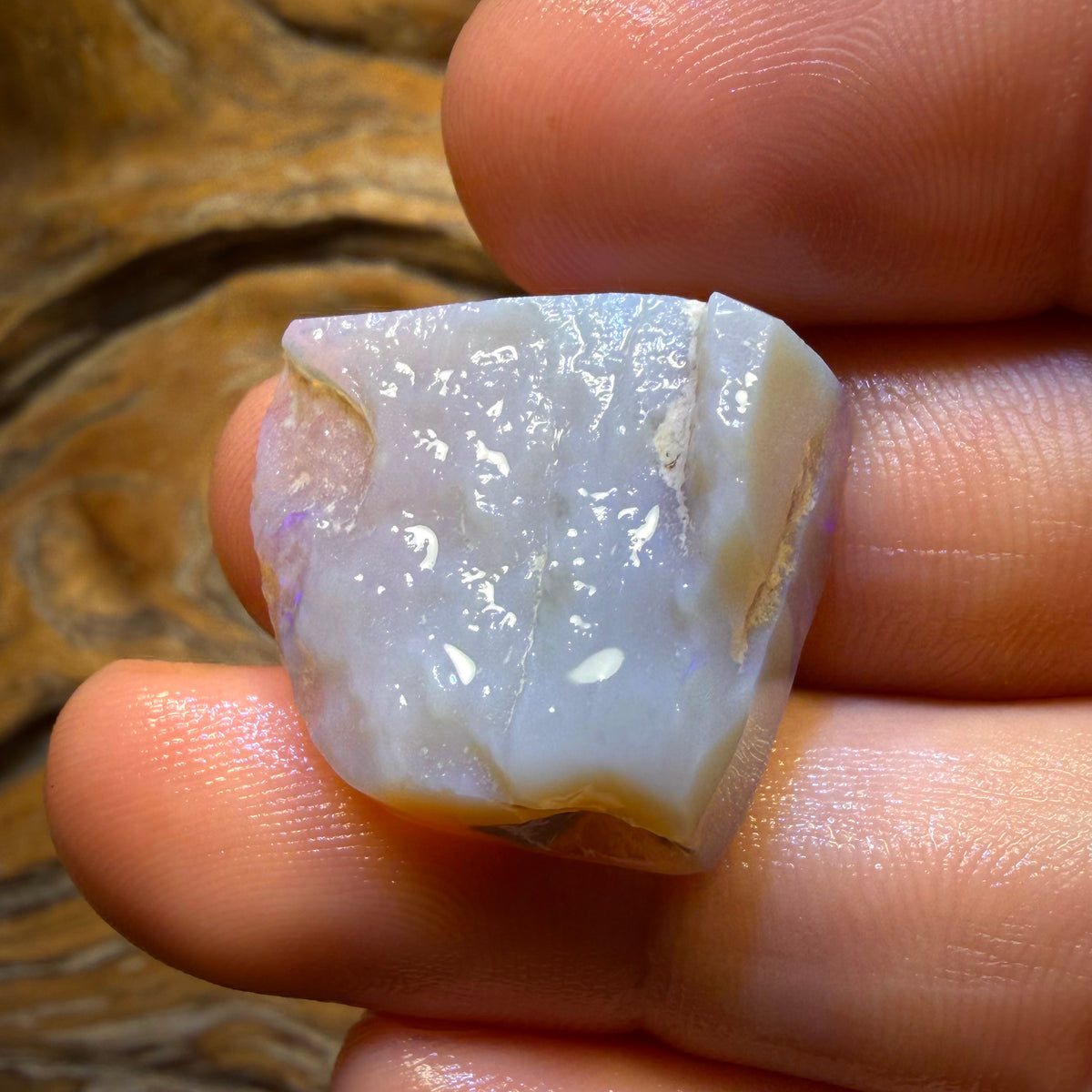 26.8cts - Lightning Ridge Semi Crystal Opal Rough Rub