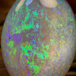 49.5cts - Large Oval South Australian Crystal on Unique “Mother of Matrix” Multicolours!