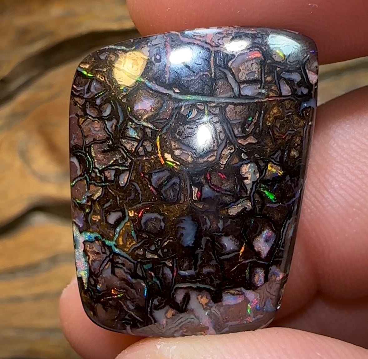 55.7cts - Tribal Queensland Boulder Opal from Koroit - Opal Whisperers