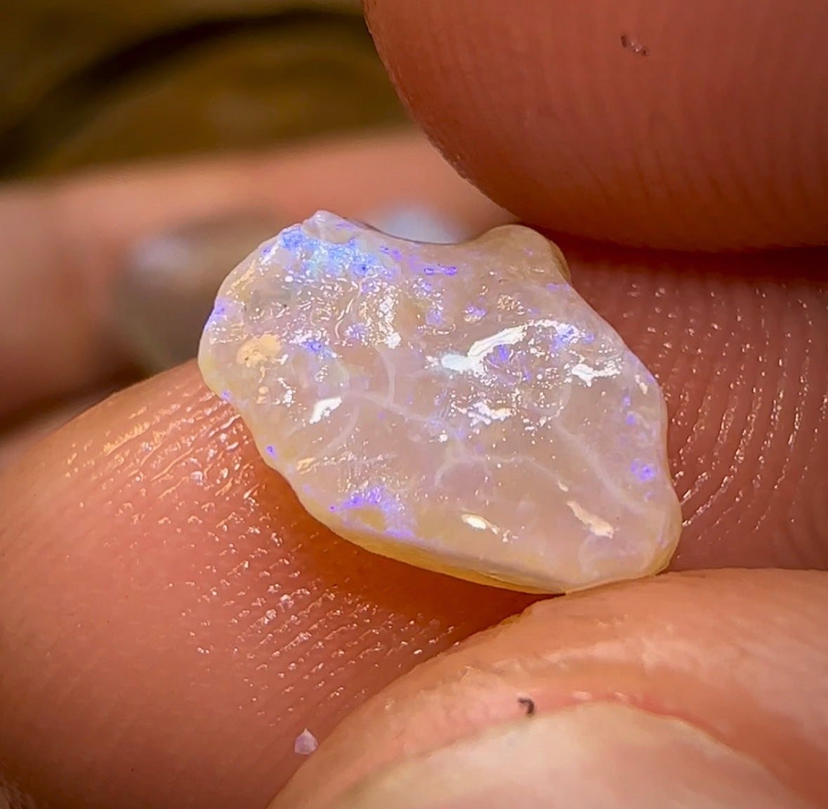 (Template) 55.7cts - 7x Lightning Ridge Crystal Opal Rough - Opal Whisperers