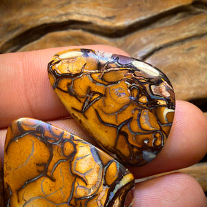 Get TWO FREE Card!113.6cts - Yowah Nut Tribal Family Parcel. Australian Opal