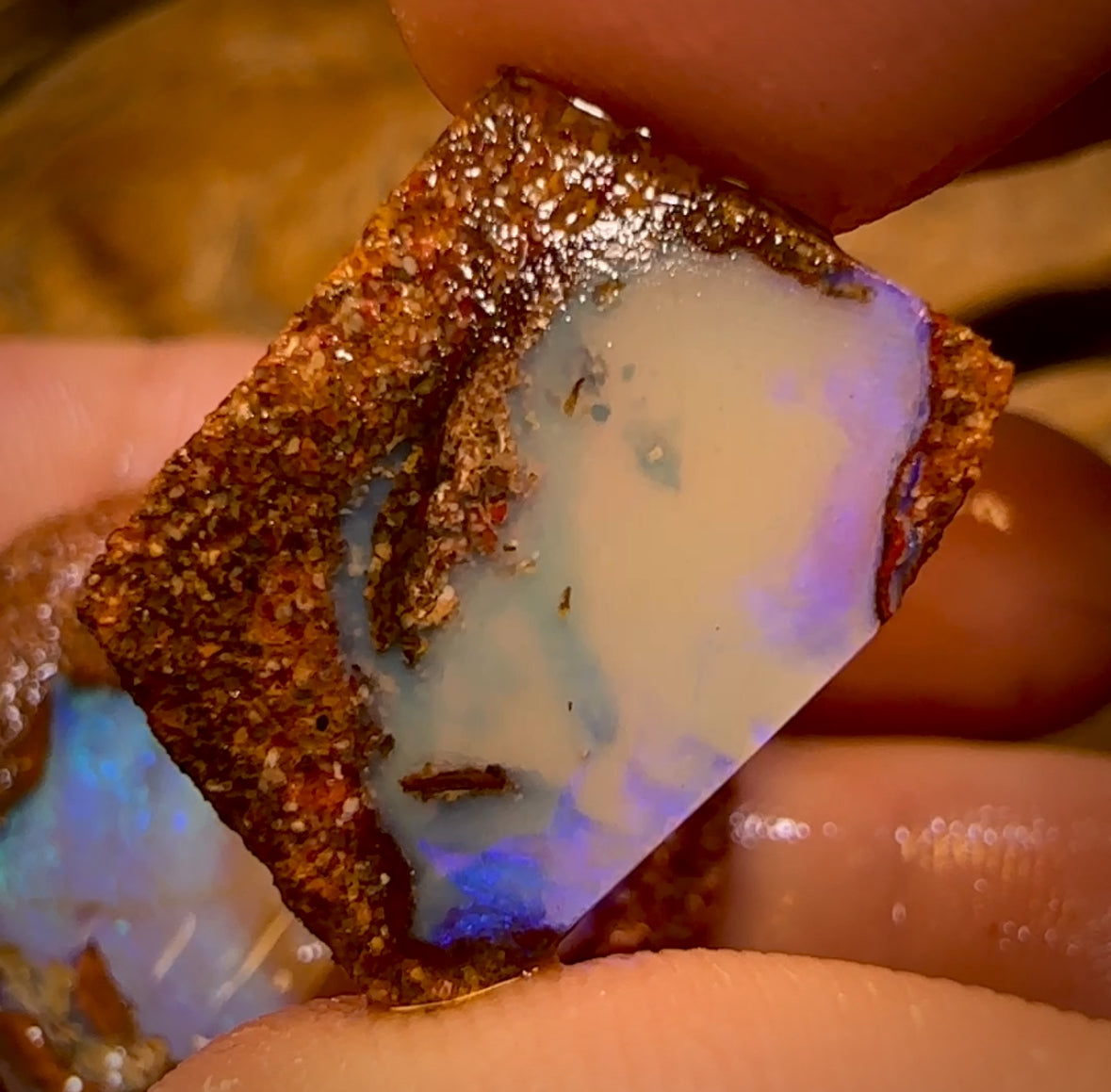 33.7cts - 3x Queensland Boulder Pipe Opal Rough Pieces