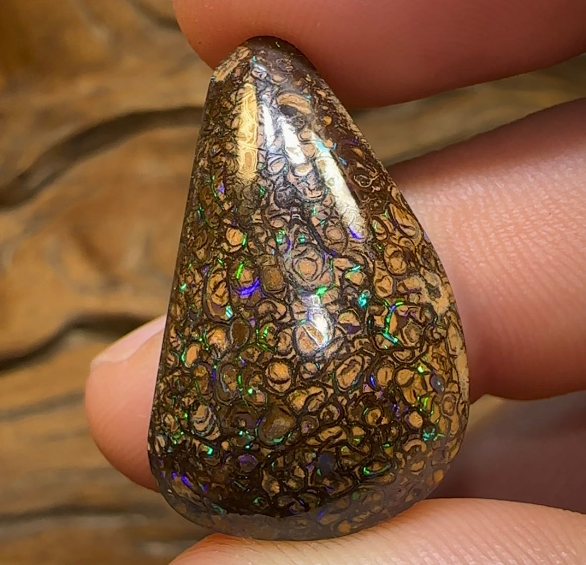 40.4cts - Dark Tribal pattern Australian Boulder Opal from Yowah. - Opal Whisperers
