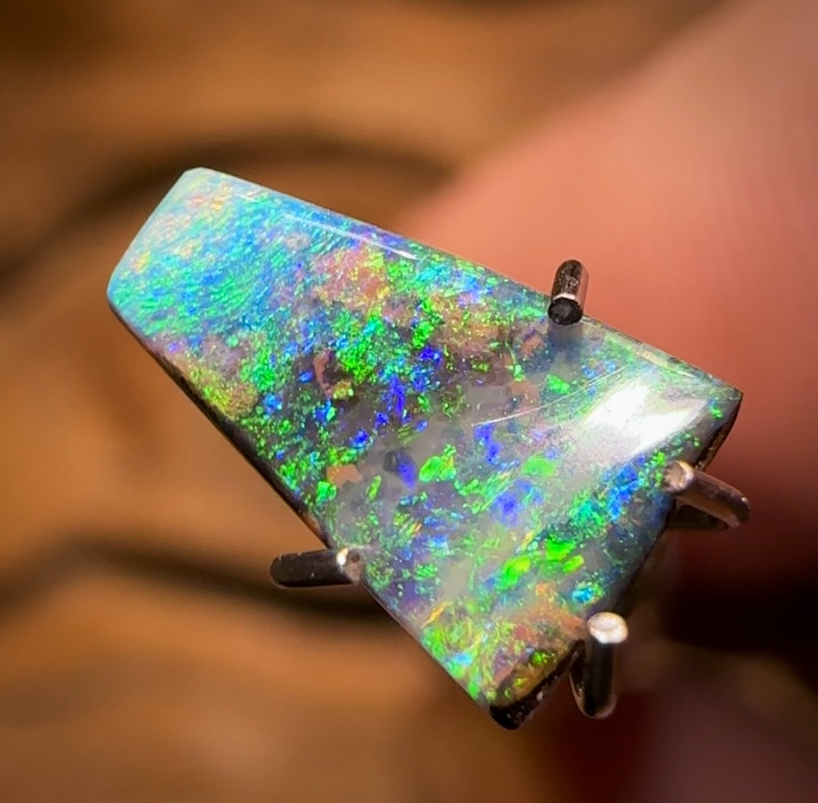 Auction Fall-Through = Your Gain! 🔥 Now More Than 50% Off RRP 🚨 0.91cts - Queensland Boulder Seam Opal from Winton