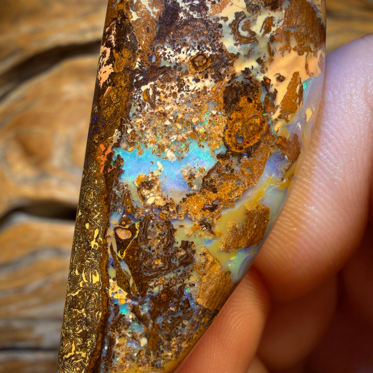 119.6cts - Wood Fossil Replacement Boulder Opal from Yowah