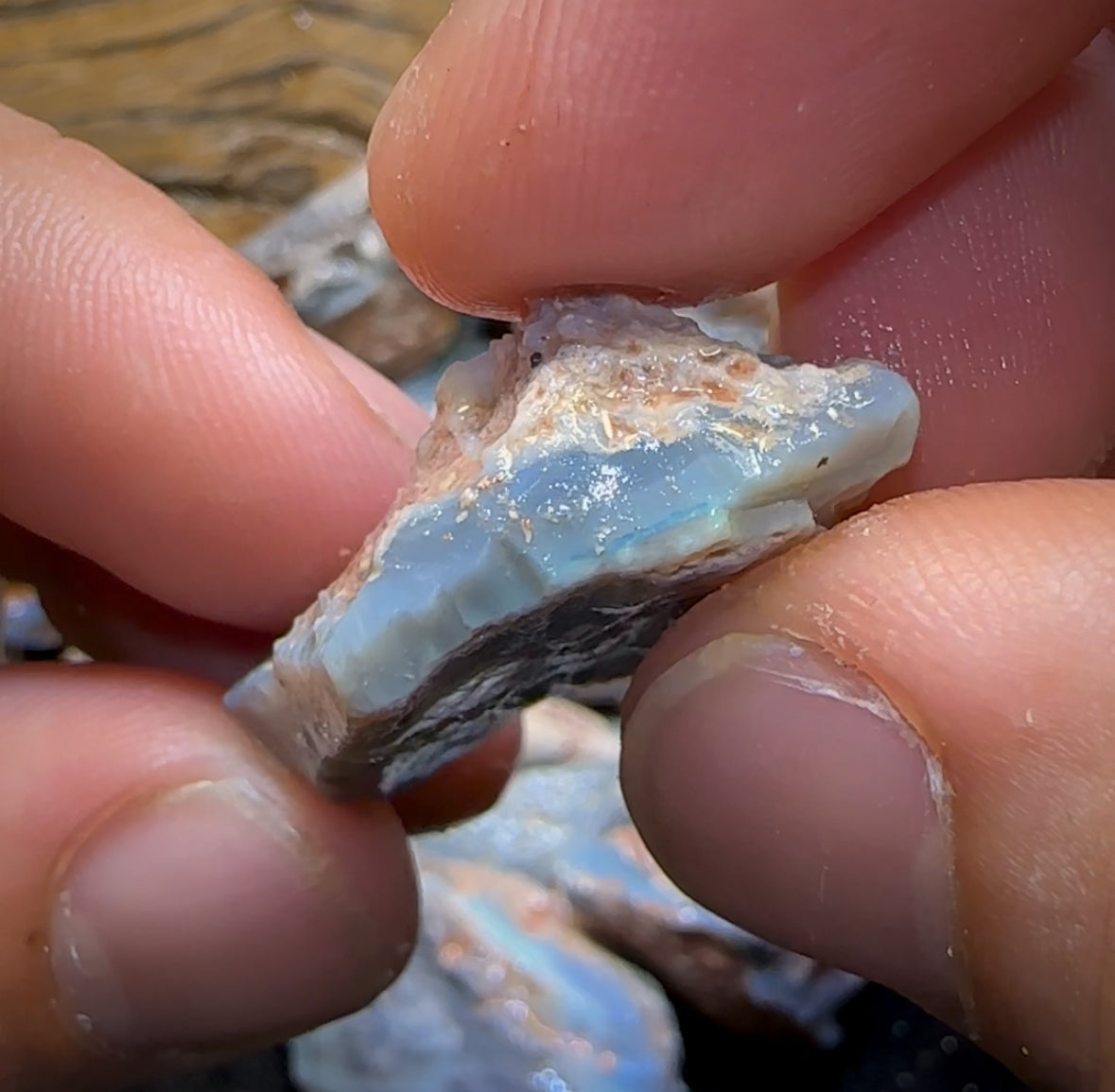 9x Pieces of Lightning Ridge Potch and Colour Rough Opal Parcels. BULK LISTING