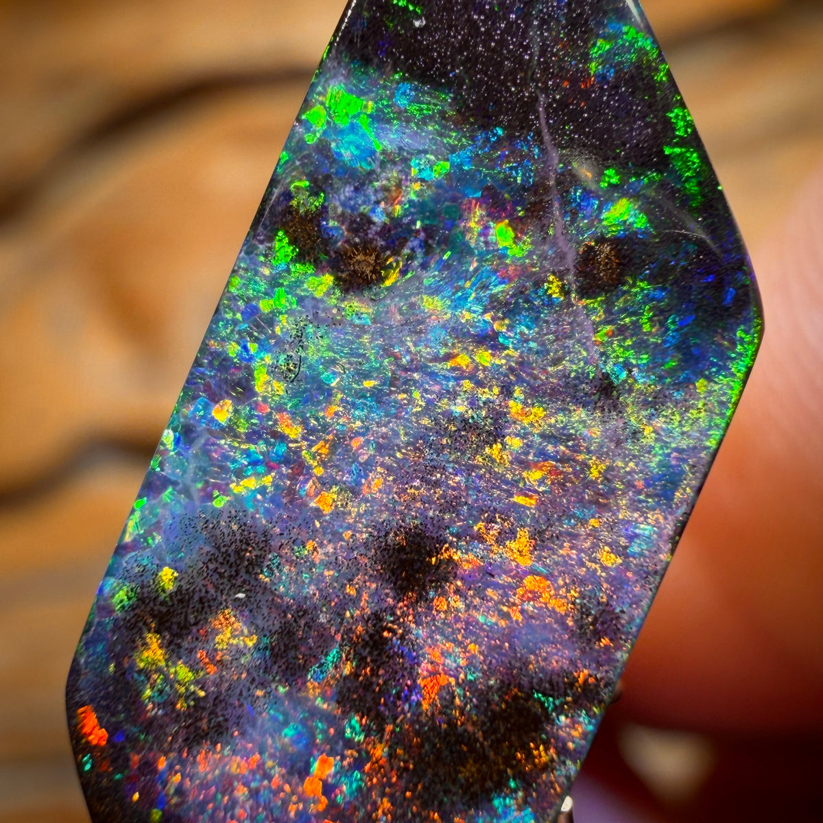 “Set in Stone” - Private Collector Investment - 10.9cts - Top Australian Boulder Seam Opal