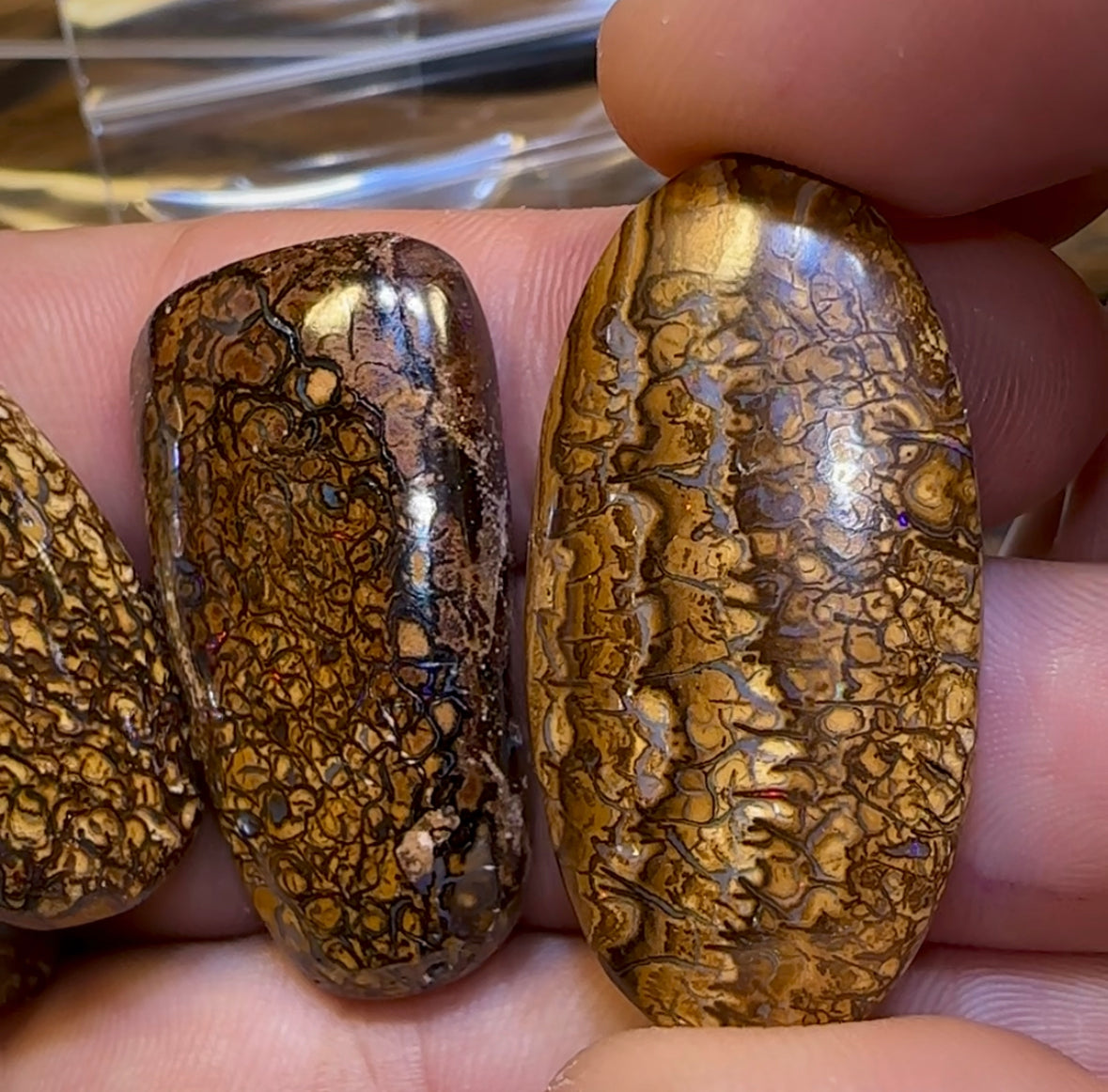 Tribal Boulder Opal Parcel. BULK LISTING - 5 FOR $350 PLUS 6th ONE FREE!!! - Opal Whisperers