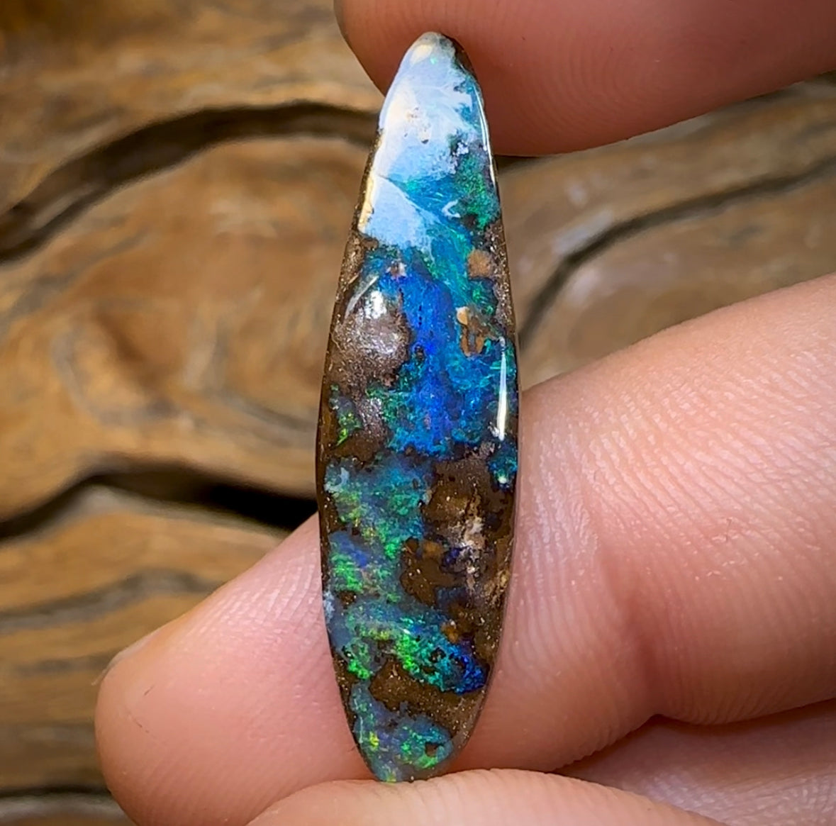 9.2cts - “Malibu” Koroit Nut Australian Boulder Opal - Opal Whisperers