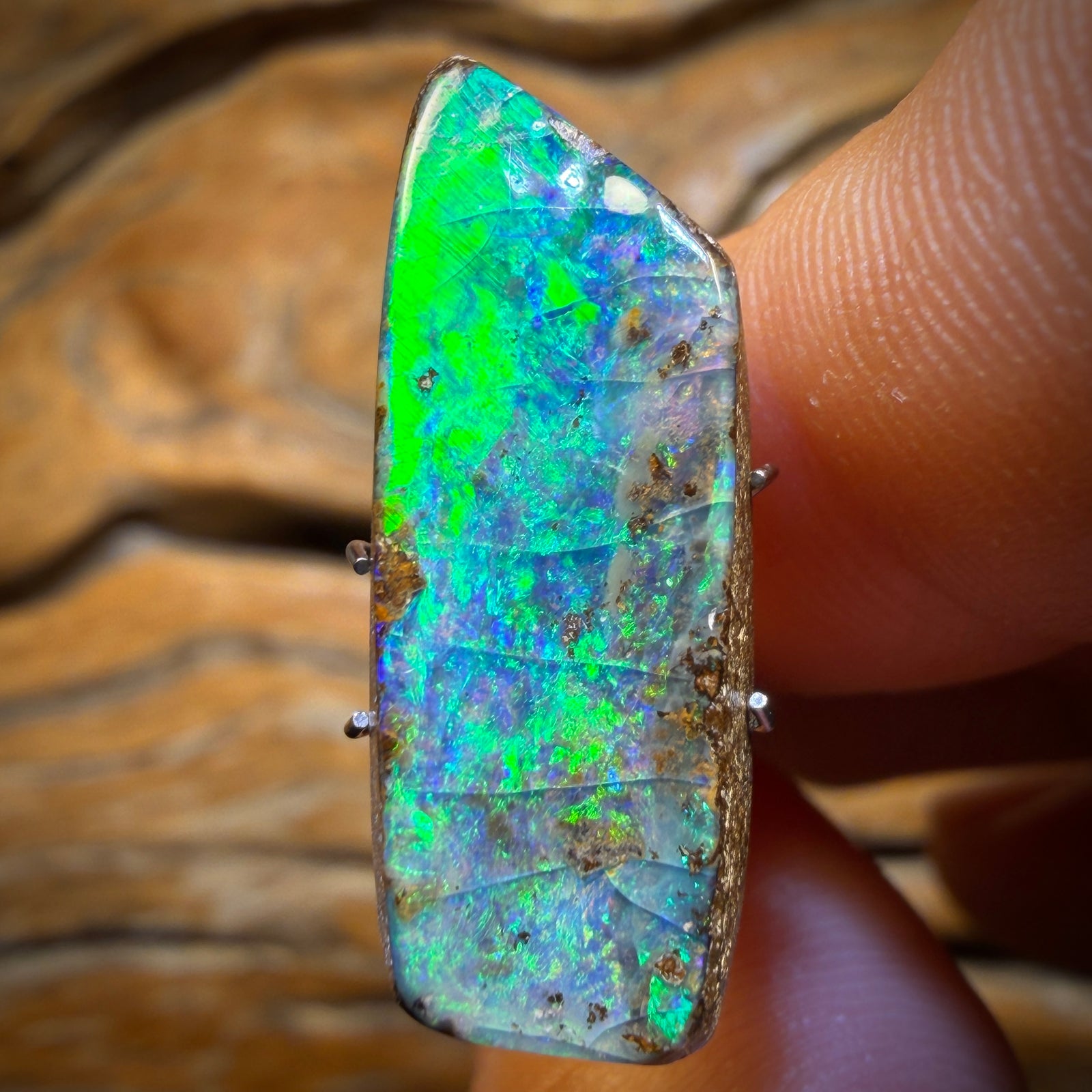 Auction 12.1cts - Queensland Boulder Seam Opal