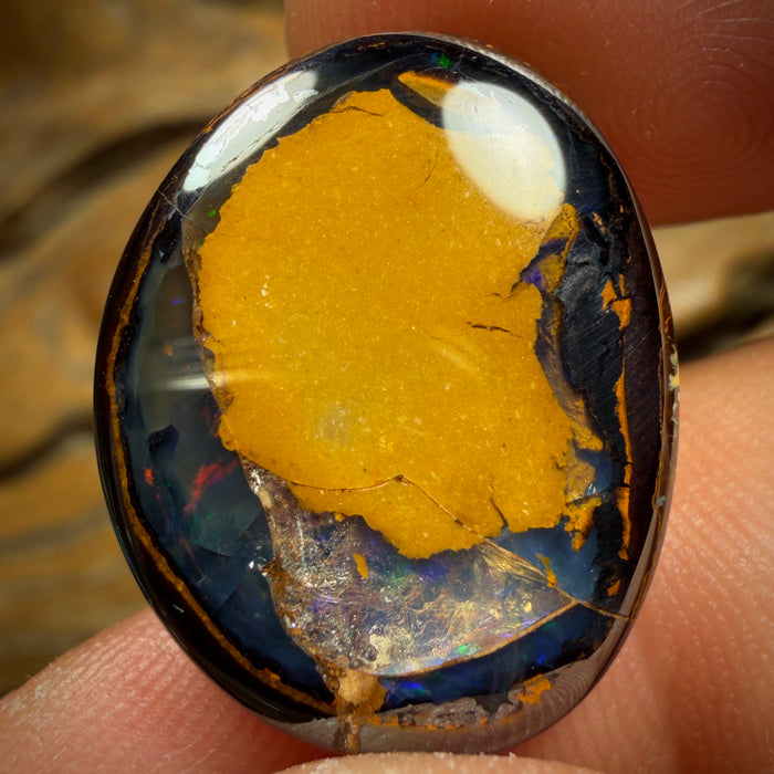 Auction 18.6cts - Yowah Nut Kernel Opal. Australian Boulder Opal