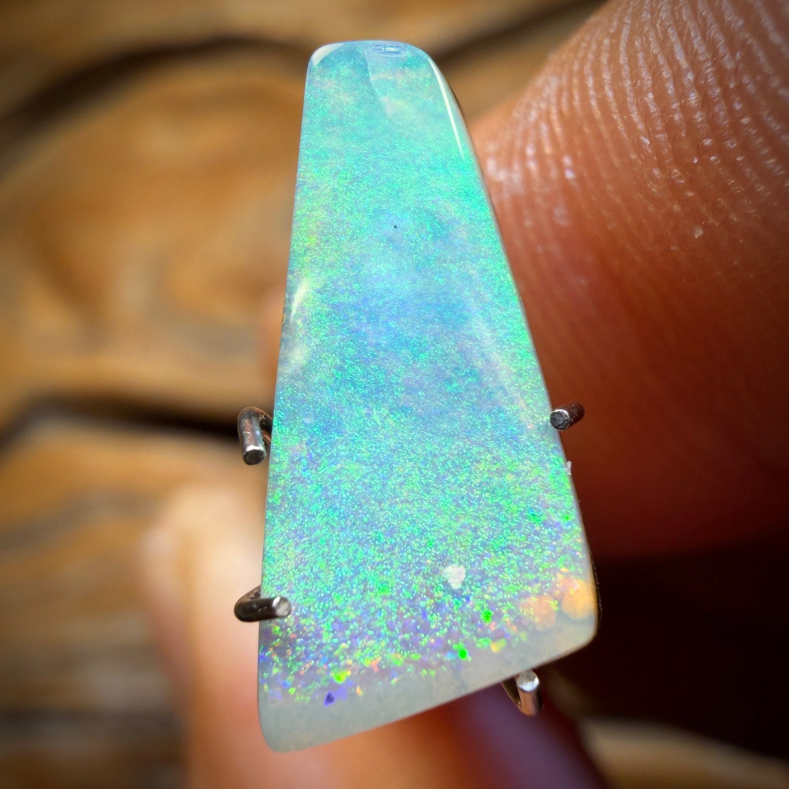 Auction 2.3cts - Queensland Boulder Seam Opal. RECUTTER’S DELIGHT