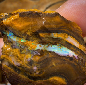 🔒 221,6 cts - Lot de 5 opales brutes Yowah Nut. Opale boulder australienne.
